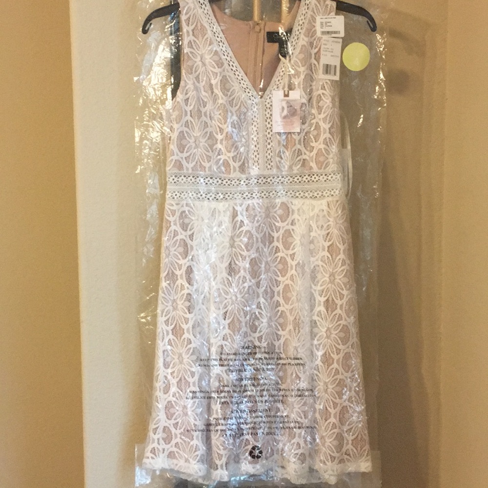 Classy Lace Dress 
